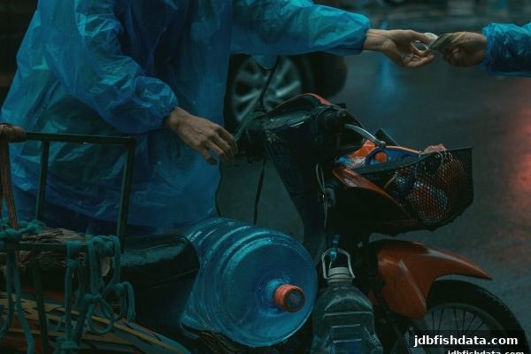 TRC20充值确认机制全解析：让jdb捕鱼试玩玩家到账更省心