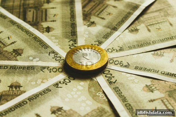 jdb捕鱼试玩玩家必读：银行卡入金审核流程与代理返佣机制全解析