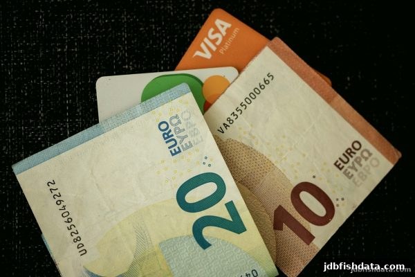 jdb捕鱼试玩：USDT充值欧洲游戏平台全攻略，从核心流程到安全选站