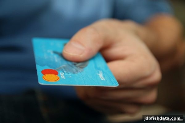 一站式掌握jdb捕鱼试玩银行卡入金审核进度：流程、加速与查询技巧