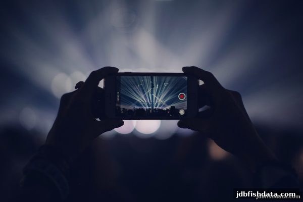 突破常规：jdb捕鱼试玩平台上的非传统玩法深度解析