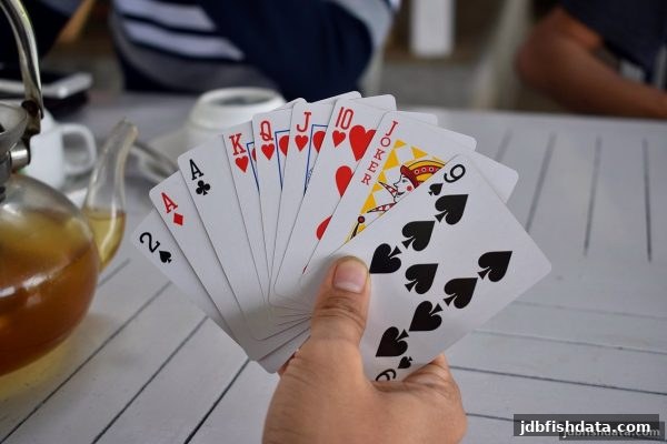 jdb捕鱼试玩视角：大满贯桌游竞争机制如何触发玩家心理波动？