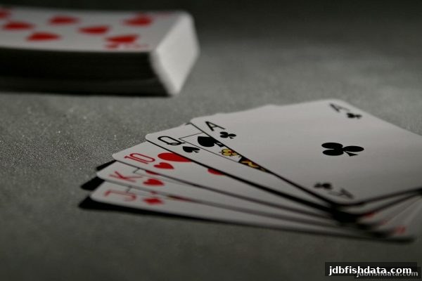 亲子桌游推荐与避坑指南：jdb捕鱼试玩带来的互动启发