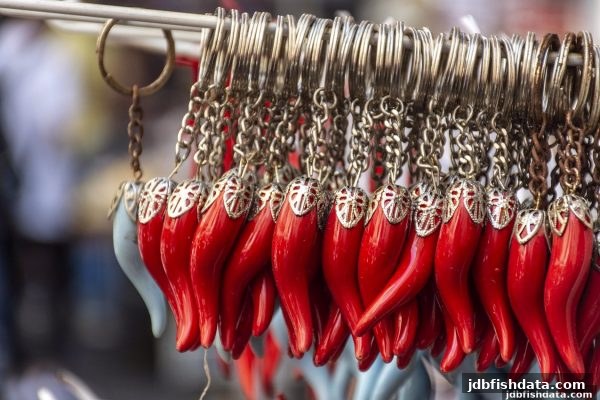 双色球深度解析：结合jdb捕鱼试玩经验，科学制定彩票参与计划