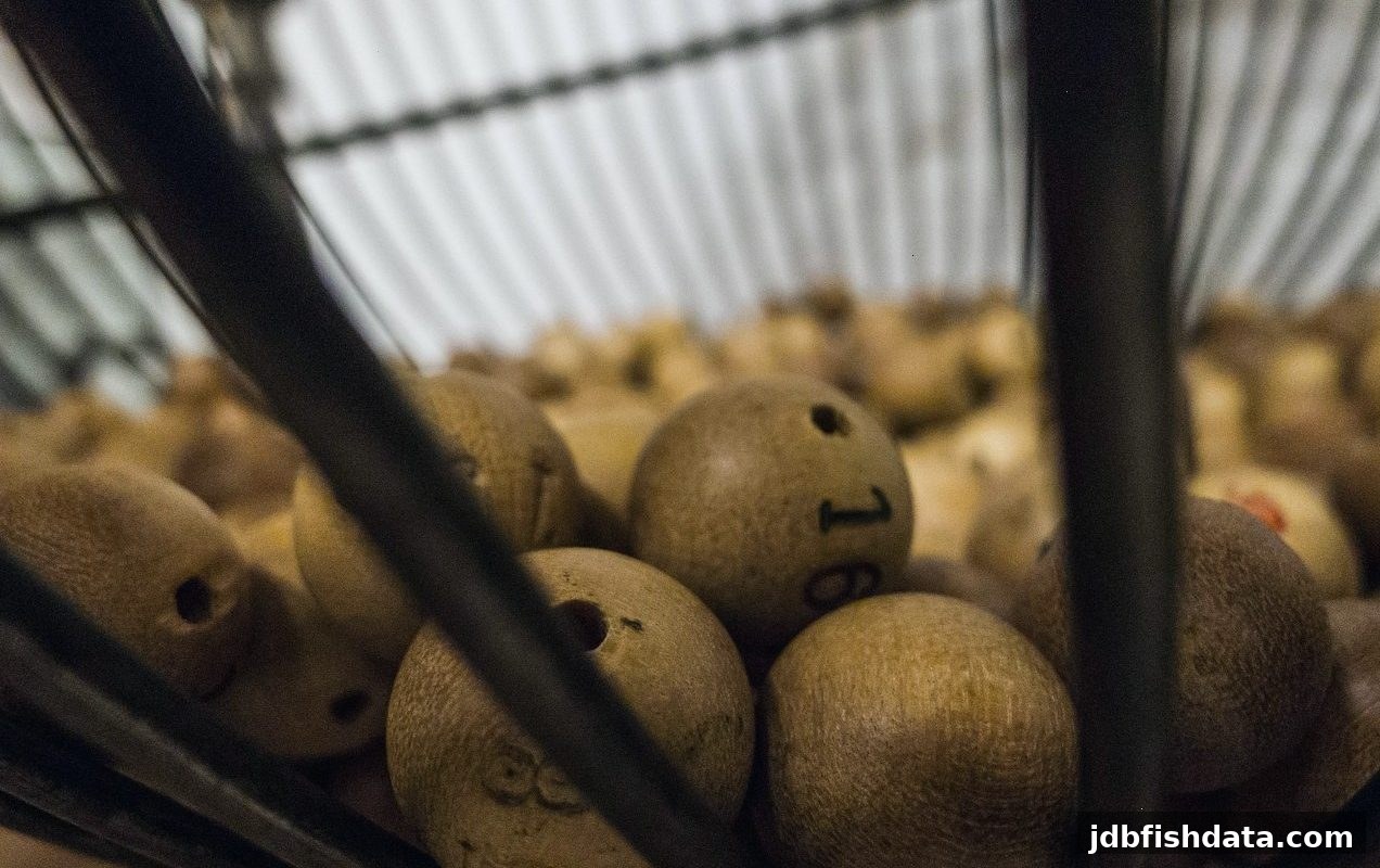 掌握jdb捕鱼试玩：彩票中奖税务与理财全指南