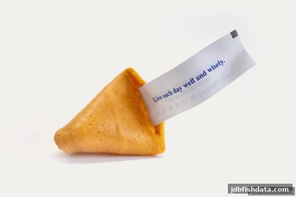 掌握复式投注精髓，jdb捕鱼试玩带你解锁高效中奖策略