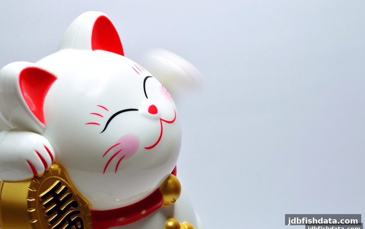 北京赛车竞技攻略：jdb捕鱼试玩视角下的资金管理智慧