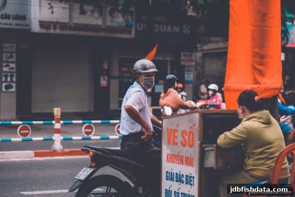 从体育直播互动到jdb捕鱼试玩：完整投注策略与平台选择指南