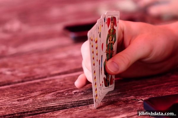 起手牌范围分析精讲：jdb捕鱼试玩助你从新手到进阶