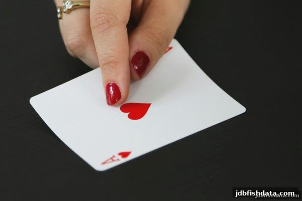 玩转数据博弈：jdb捕鱼试玩带你洞悉棋牌对手类型与胜率提升策略