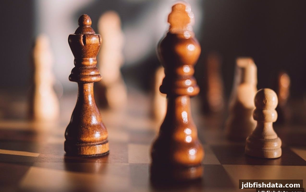 jdb捕鱼试玩高手手册：五子棋制胜策略全解析，从开局布局到终局决策