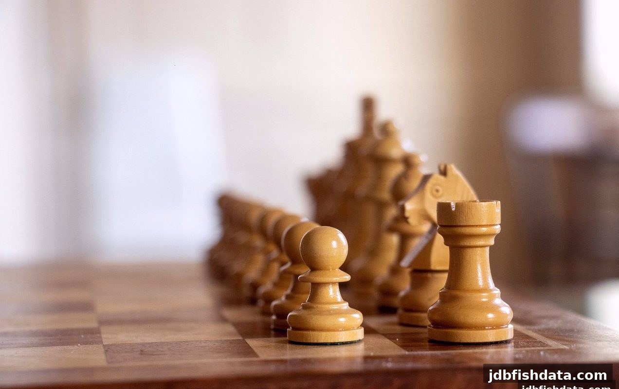jdb捕鱼试玩视野下：国际象棋社区的演变、文化传播与未来机遇