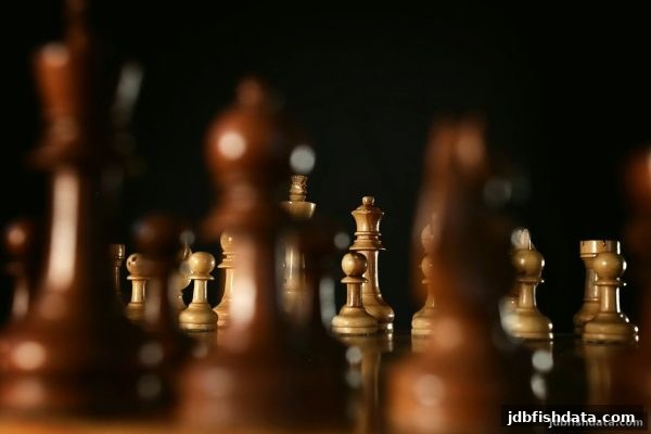 jdb捕鱼试玩带你解锁龙虎斗与围棋的上下棋智慧：从入门到高手