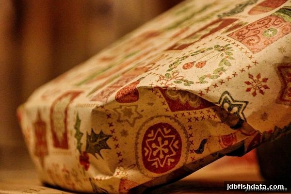 jdb捕鱼试玩：全面解读“不计输赢奖励机制”的奥秘与实战技巧
