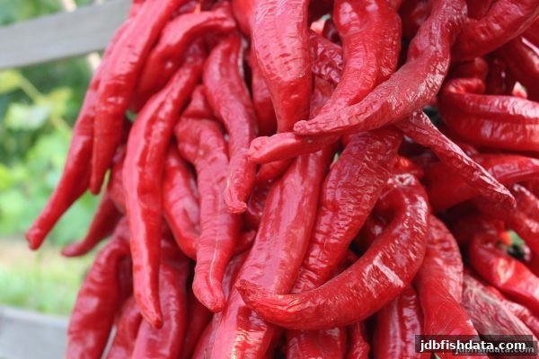 jdb捕鱼试玩揭秘：电子真人桌游桌面设计的核心法则