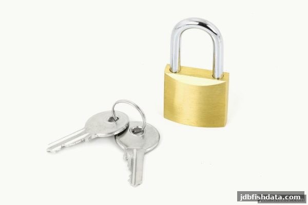 深度解析免实名出款平台：从机制到防护，jdb捕鱼试玩带你领略资金安全新维度