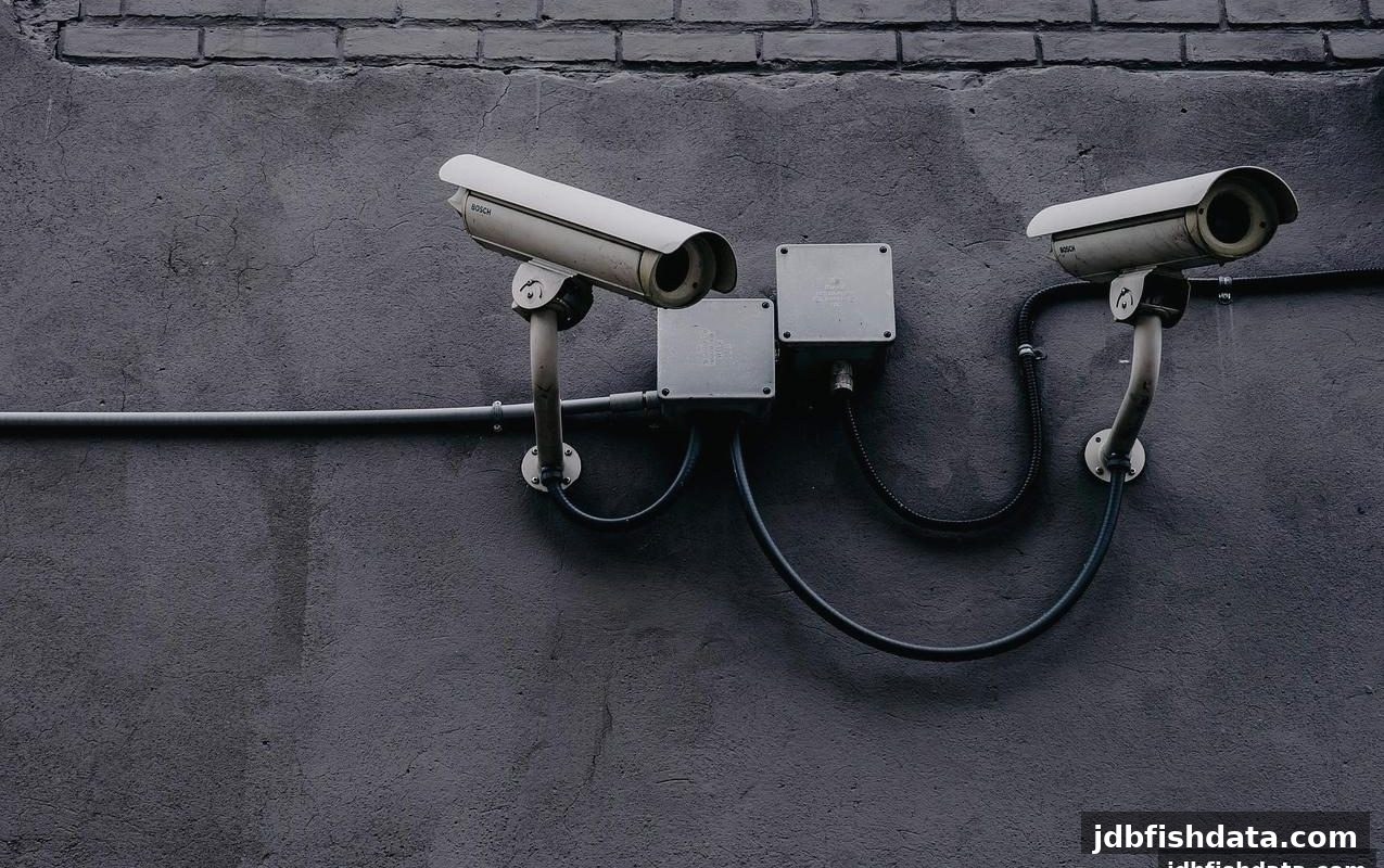 线上娱乐安全指南|从JDB捕鱼试玩到WM真人,这份防坑攻略请收好
