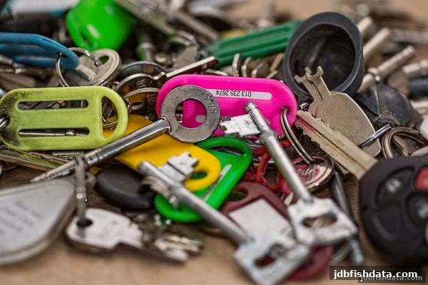 WM真人诚信评级全解析：结合jdb捕鱼试玩经验，教你识别高信誉平台
