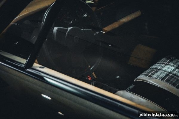 KU真人波动性深度解析：jdb捕鱼试玩视角下的数据博弈与策略优化