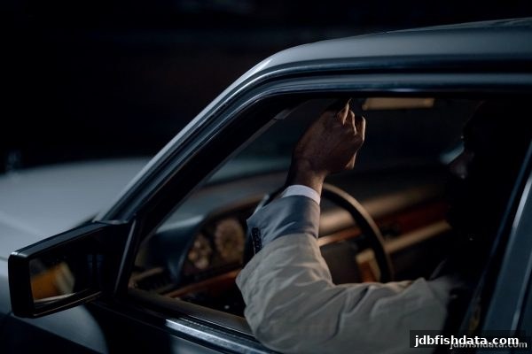 jdb捕鱼试玩平台游戏参数全解析：从RTP到波动性的理性指南