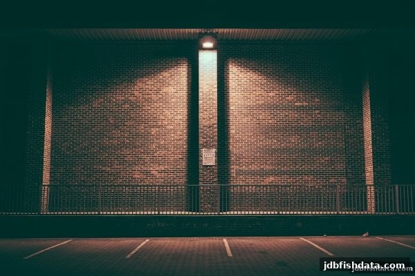 jdb捕鱼试玩携手FunkyGames：轮盘冷热号玩法全面解析