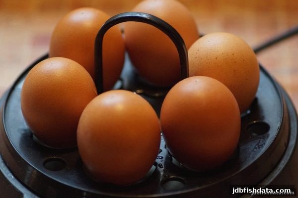 掌握二十一点策略轴心：从jdb捕鱼试玩中获得的动态决策启示