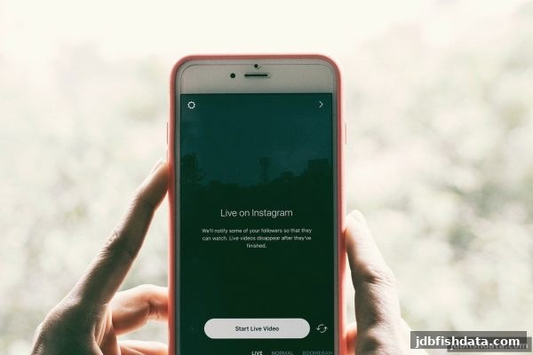 足球赛事燃情瞬间与jdb捕鱼试玩：策略、概率与娱乐的完美交响