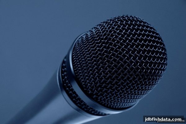 深度解析世界杯球队阵容分析与提款规则全攻略——jdb捕鱼试玩带你玩转策略